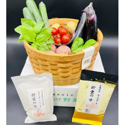 於愛の方 ふるさとの味　有機野菜・お米・お茶のセット (西郷の局セット)