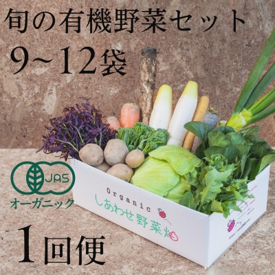 しあわせ野菜畑の有機野菜　Lセット　(安心の有機JAS認証　旬のオーガニック野菜　農場直送便)