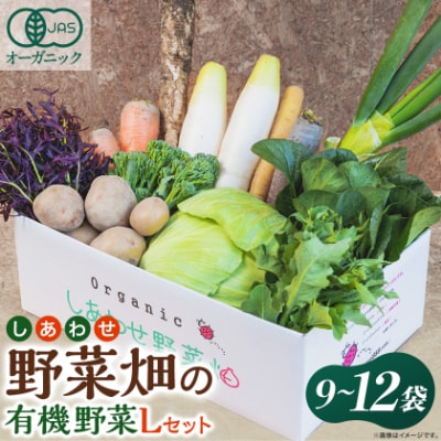 しあわせ野菜畑の有機野菜　Lセット　(安心の有機JAS認証　旬のオーガニック野菜　農場直送便)