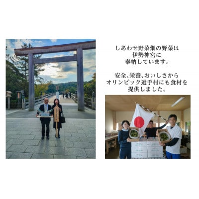 しあわせ野菜畑の有機野菜　Lセット　(安心の有機JAS認証　旬のオーガニック野菜　農場直送便)