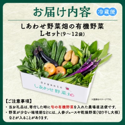 しあわせ野菜畑の有機野菜　Lセット　(安心の有機JAS認証　旬のオーガニック野菜　農場直送便)