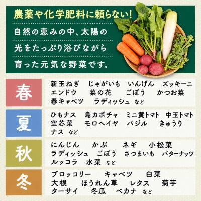 しあわせ野菜畑の有機野菜　Mセット　(安心の有機JAS認証　旬のオーガニック野菜　農場直送便)