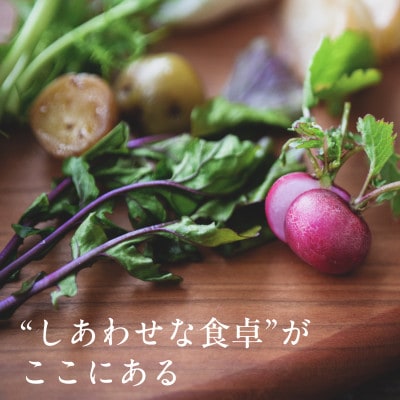 しあわせ野菜畑の有機野菜　Mセット　(安心の有機JAS認証　旬のオーガニック野菜　農場直送便)