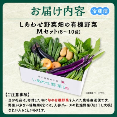 しあわせ野菜畑の有機野菜　Mセット　(安心の有機JAS認証　旬のオーガニック野菜　農場直送便)