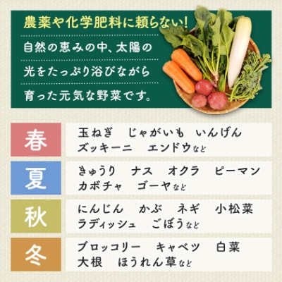 しあわせ野菜畑の有機野菜　Sセット　(安心の有機JAS認証　旬のオーガニック野菜　農場直送便)