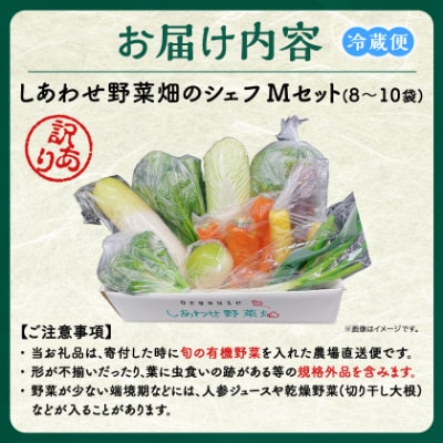 しあわせ野菜畑のシェフMセット　(訳あり規格外の有機野菜を一部使用)
