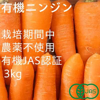 有機ニンジン　栽培期間中農薬不使用　有機JAS認証　冬季限定(12～3月発送)