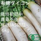 有機大根　有機JAS認証　煮物やおでんに最適　冬の味覚(12～3月発送)