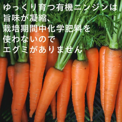 【フードロス対応・規格外】有機ニンジン  訳あり   冬季限定(12～3月発送)