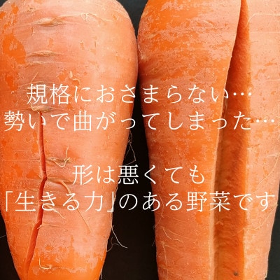 【フードロス対応・規格外】有機ニンジン  訳あり   冬季限定(12～3月発送)