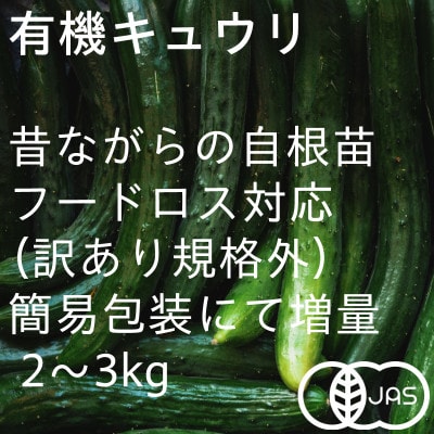 【フードロス対応・規格外】有機キュウリ　接ぎ木ではない昔ながらの自根きゅうり  夏季(6～8月)発送