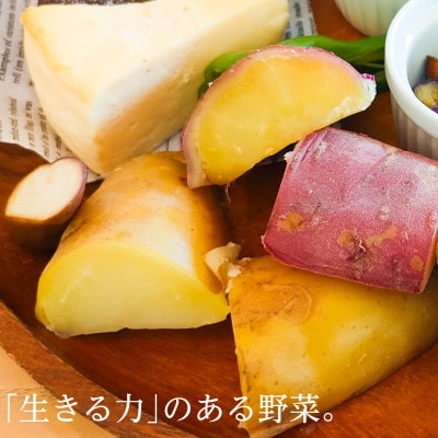 【フードロス対応・規格外】有機サツマイモ　訳あり　有機JAS　期間限定(12～3月発送)