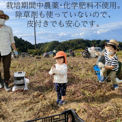 【フードロス対応・規格外】有機サツマイモ　訳あり　有機JAS　期間限定(12～3月発送)