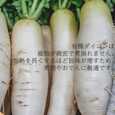 【フードロス対応・規格外】　有機大根　訳あり　有機JAS　冬季限定(12～3月発送)