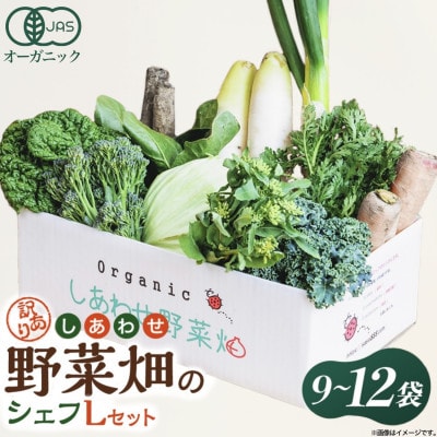 しあわせ野菜畑のシェフLセット　(訳あり規格外の有機野菜を一部使用)