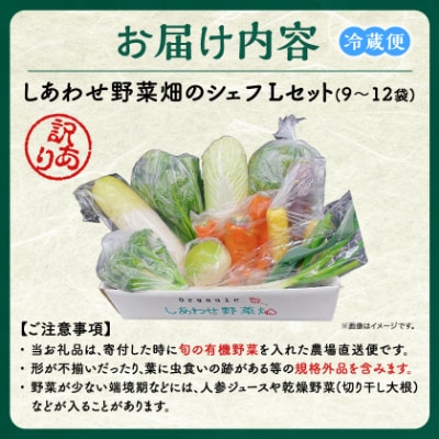 しあわせ野菜畑のシェフLセット　(訳あり規格外の有機野菜を一部使用)