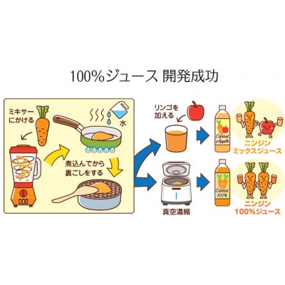 しあわせ人参ジュース(有機ニンジン100%ジュース)500ml×20本