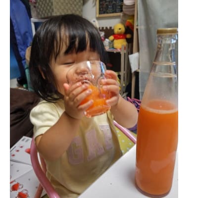 しあわせ人参ジュース(有機ニンジン100%ジュース)500ml×20本