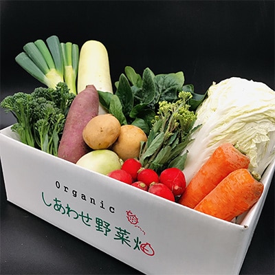 【毎月定期便】オーガニック野菜  有機JAS認証  しあわせ野菜畑  有機野菜  Mセット全3回