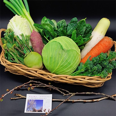 【毎月定期便】オーガニック野菜  有機JAS認証  しあわせ野菜畑  有機野菜  Mセット全3回