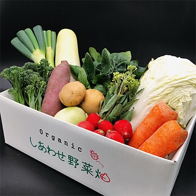 【毎月定期便】オーガニック野菜  有機JAS認証  しあわせ野菜畑  有機野菜  Mセット全12回