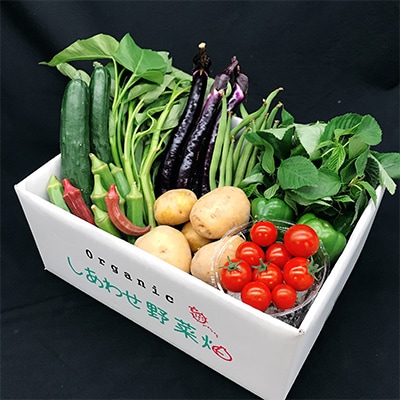 【毎月定期便】オーガニック野菜  有機JAS認証  しあわせ野菜畑  有機野菜  Mセット全12回