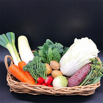 【毎月定期便】オーガニック野菜  有機JAS認証  しあわせ野菜畑  有機野菜  Mセット全12回