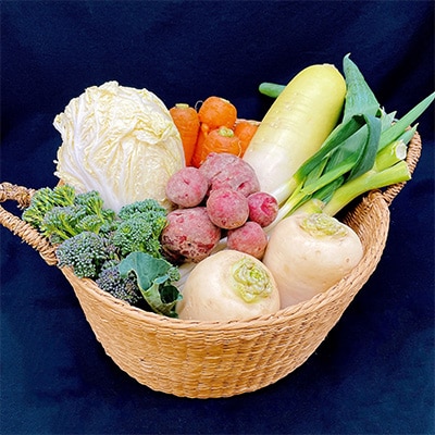 【毎月定期便】【フードロス対応・規格外野菜利用】　オーガニック野菜　シェフSセット全12回
