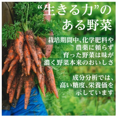 楽天市場】【ふるさと納税】有機野菜 オーガニック 12種 野菜