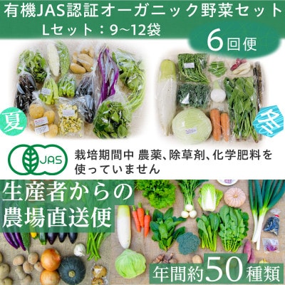 【毎月定期便】有機 野菜　Lセット　オーガニック野菜 セット　有機JAS認証　しあわせ野菜畑全6回