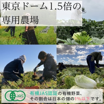 【毎月定期便】有機 野菜　Lセット　オーガニック野菜 セット　有機JAS認証　しあわせ野菜畑全6回