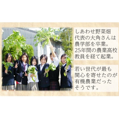 【毎月定期便】有機 野菜　Lセット　オーガニック野菜 セット　有機JAS認証　しあわせ野菜畑全6回