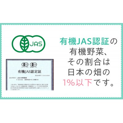 【毎月定期便】有機 野菜　Lセット　オーガニック野菜 セット　有機JAS認証　しあわせ野菜畑全6回