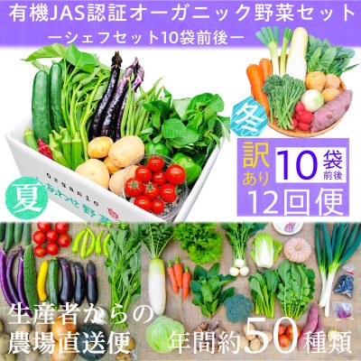 【毎月定期便】【フードロス対応・規格外野菜利用】　有機野菜　シェフMセット　オーガニック野菜全12回