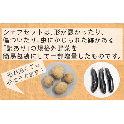 【毎月定期便】【フードロス対応・規格外野菜利用】　有機野菜　シェフMセット　オーガニック野菜全12回