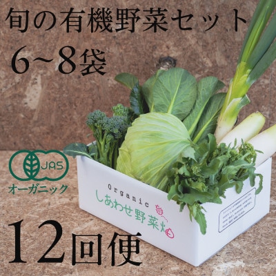 【毎月定期便】しあわせ野菜畑の有機野菜　Sセット　(安心の有機JAS認証　オーガニック野菜)全12回