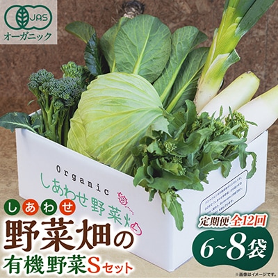 【毎月定期便】しあわせ野菜畑の有機野菜　Sセット　(安心の有機JAS認証　オーガニック野菜)全12回