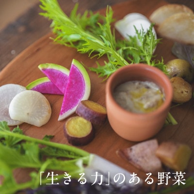 【毎月定期便】しあわせ野菜畑の有機野菜　Sセット　(安心の有機JAS認証　オーガニック野菜)全6回