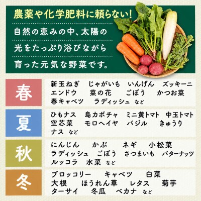 【毎月定期便】しあわせ野菜畑の有機野菜　Sセット　(安心の有機JAS認証　オーガニック野菜)全6回
