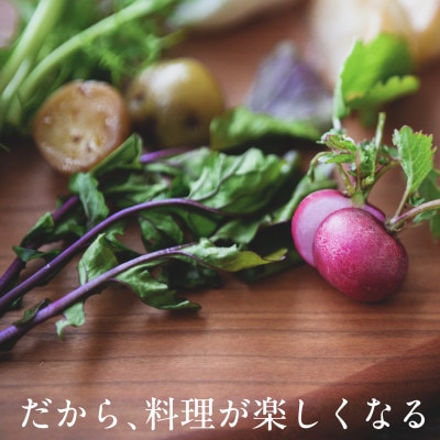 【毎月定期便】しあわせ野菜畑の有機野菜　Sセット　(安心の有機JAS認証　オーガニック野菜)全6回