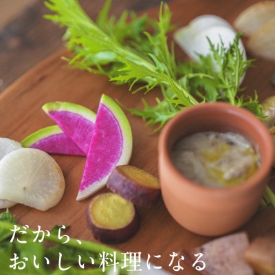 【毎月定期便】しあわせ野菜畑の有機野菜　Sセット　(安心の有機JAS認証　オーガニック野菜)全3回