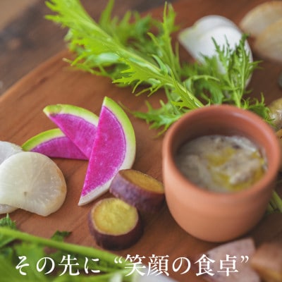 【毎月定期便】しあわせ野菜畑の有機野菜　Mセット　(安心の有機JAS認証　オーガニック野菜)全12回