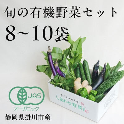 【毎月定期便】しあわせ野菜畑の有機野菜　Mセット　(安心の有機JAS認証　オーガニック野菜)全6回