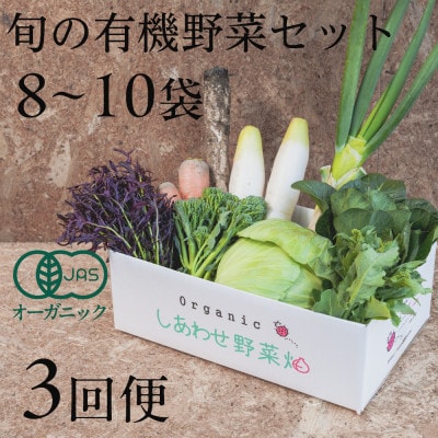 【毎月定期便】しあわせ野菜畑の有機野菜　Mセット　(安心の有機JAS認証　オーガニック野菜)全3回