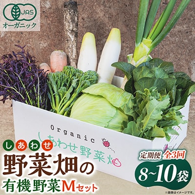 【毎月定期便】しあわせ野菜畑の有機野菜　Mセット　(安心の有機JAS認証　オーガニック野菜)全3回