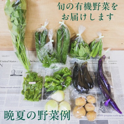 【毎月定期便】しあわせ野菜畑の有機野菜　Mセット　(安心の有機JAS認証　オーガニック野菜)全3回