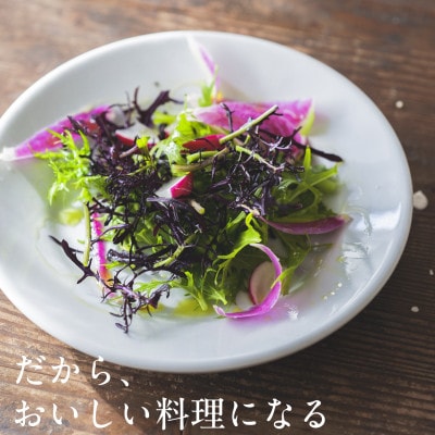 【毎月定期便】しあわせ野菜畑の有機野菜　Mセット　(安心の有機JAS認証　オーガニック野菜)全3回