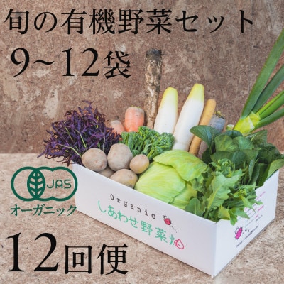 【毎月定期便】しあわせ野菜畑の有機野菜　Lセット　(安心の有機JAS認証　オーガニック野菜)全12回