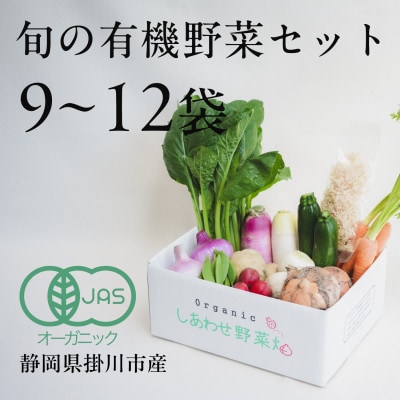 【毎月定期便】しあわせ野菜畑の有機野菜　Lセット　(安心の有機JAS認証　オーガニック野菜)全12回