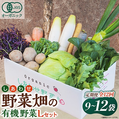 【毎月定期便】しあわせ野菜畑の有機野菜　Lセット　(安心の有機JAS認証　オーガニック野菜)全12回